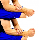 Dunsborough Physio Exercises Wrist RD/UD